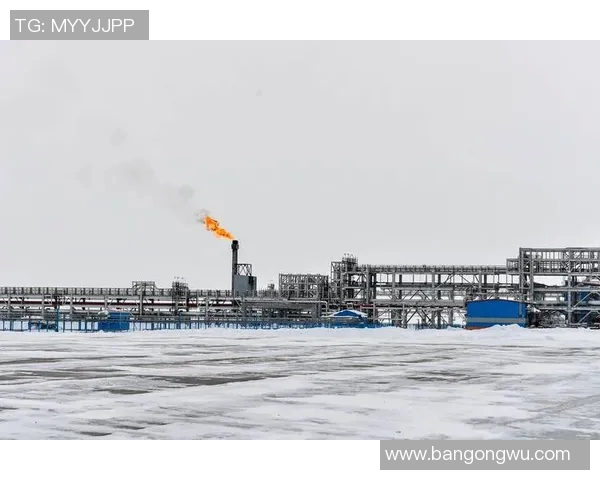 亚马尔地区的能源战略与全球气候变化的应对之道探讨