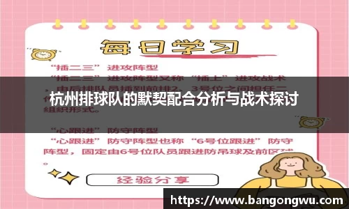杭州排球队的默契配合分析与战术探讨