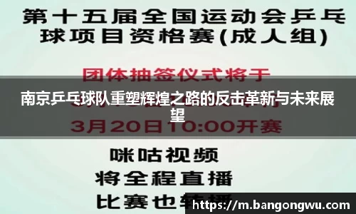 南京乒乓球队重塑辉煌之路的反击革新与未来展望