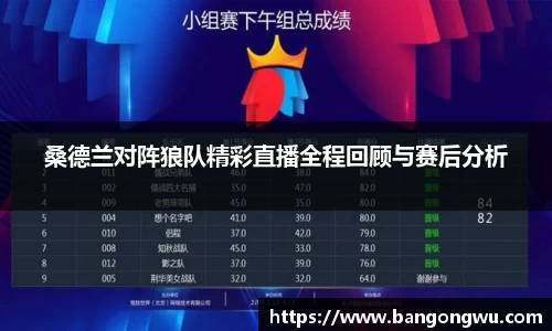 桑德兰对阵狼队精彩直播全程回顾与赛后分析